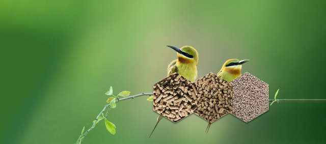 製品：サツマイモペレット